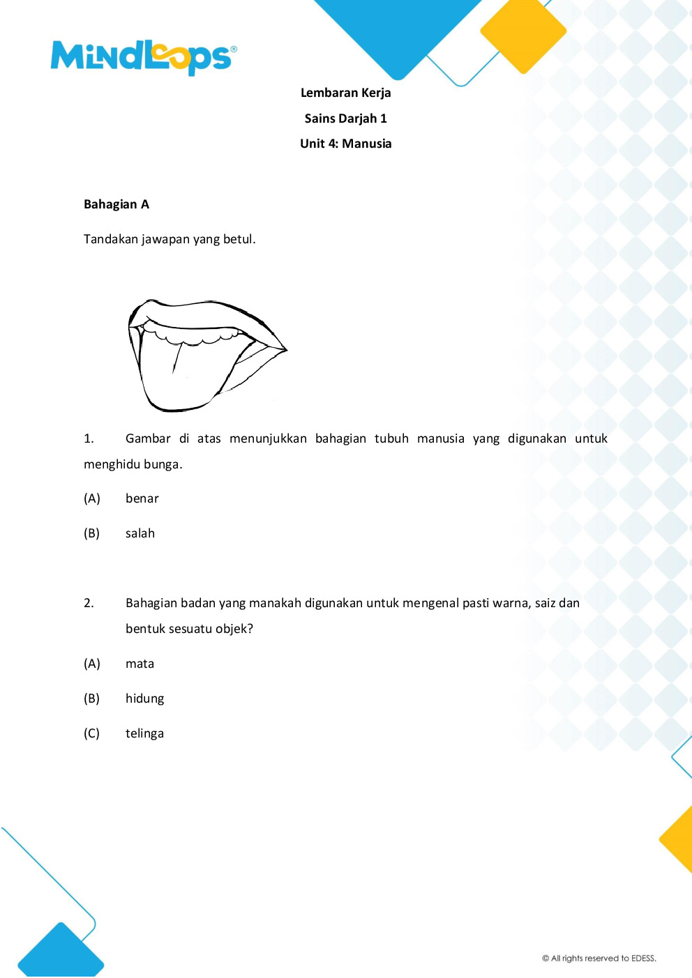 Unit 4 - Manusia
