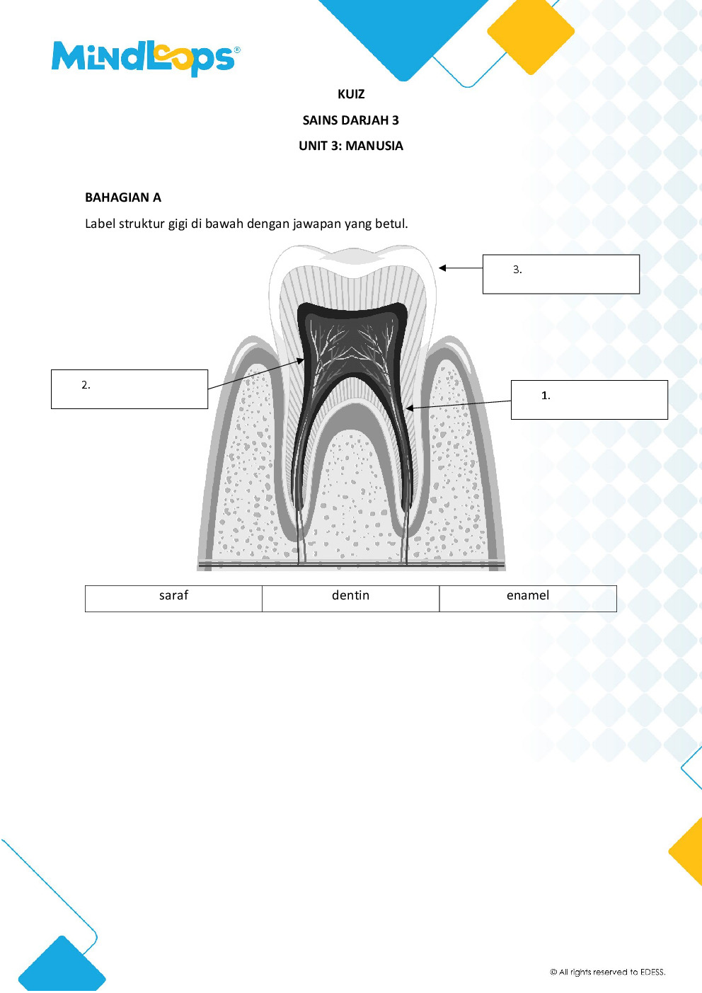 Unit 3 - Manusia
