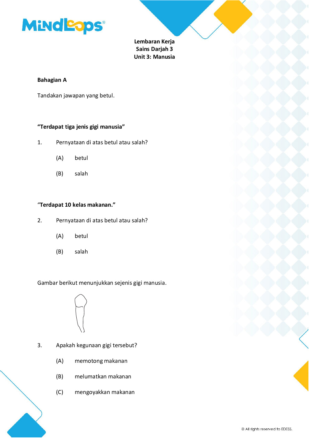 Unit 3 - Manusia