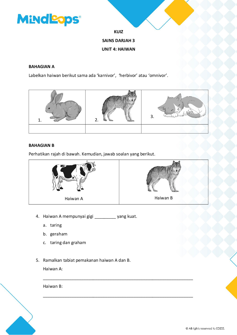 Unit 4 - Haiwan