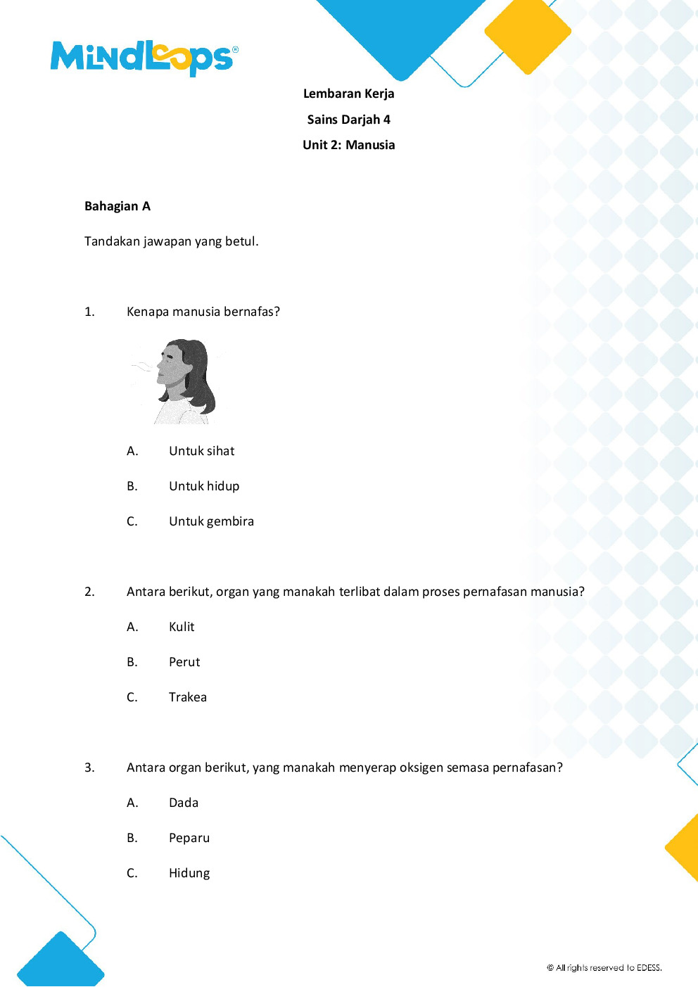 Unit 2 - Manusia