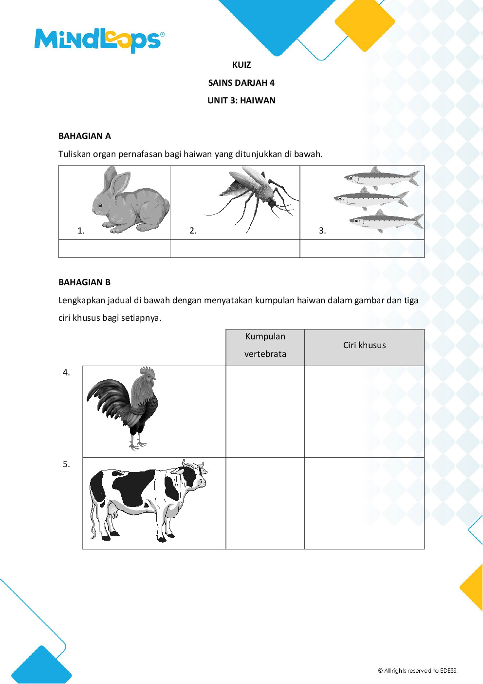 Unit 3 - Haiwan