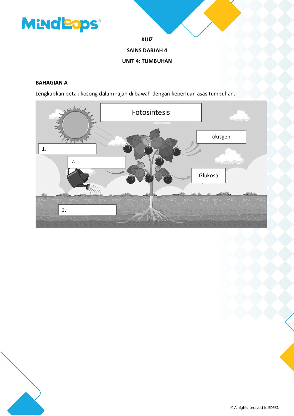 Unit 4 - Tumbuh-tumbuhan