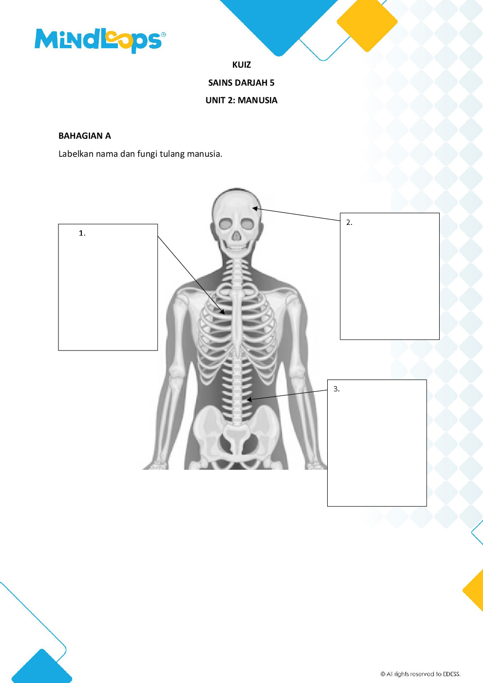 Unit 2 - Manusia