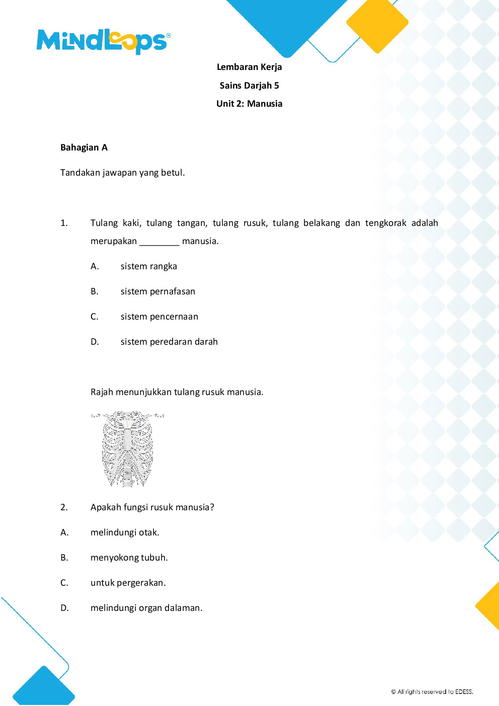 Unit 2 - Manusia