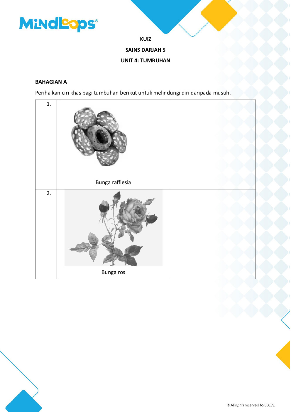 Unit 4 - Tumbuh-tumbuhan
