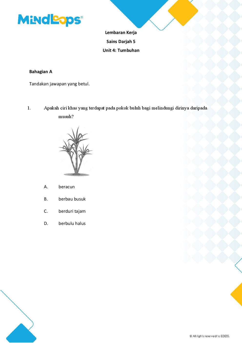 Unit 4 - Tumbuh-tumbuhan