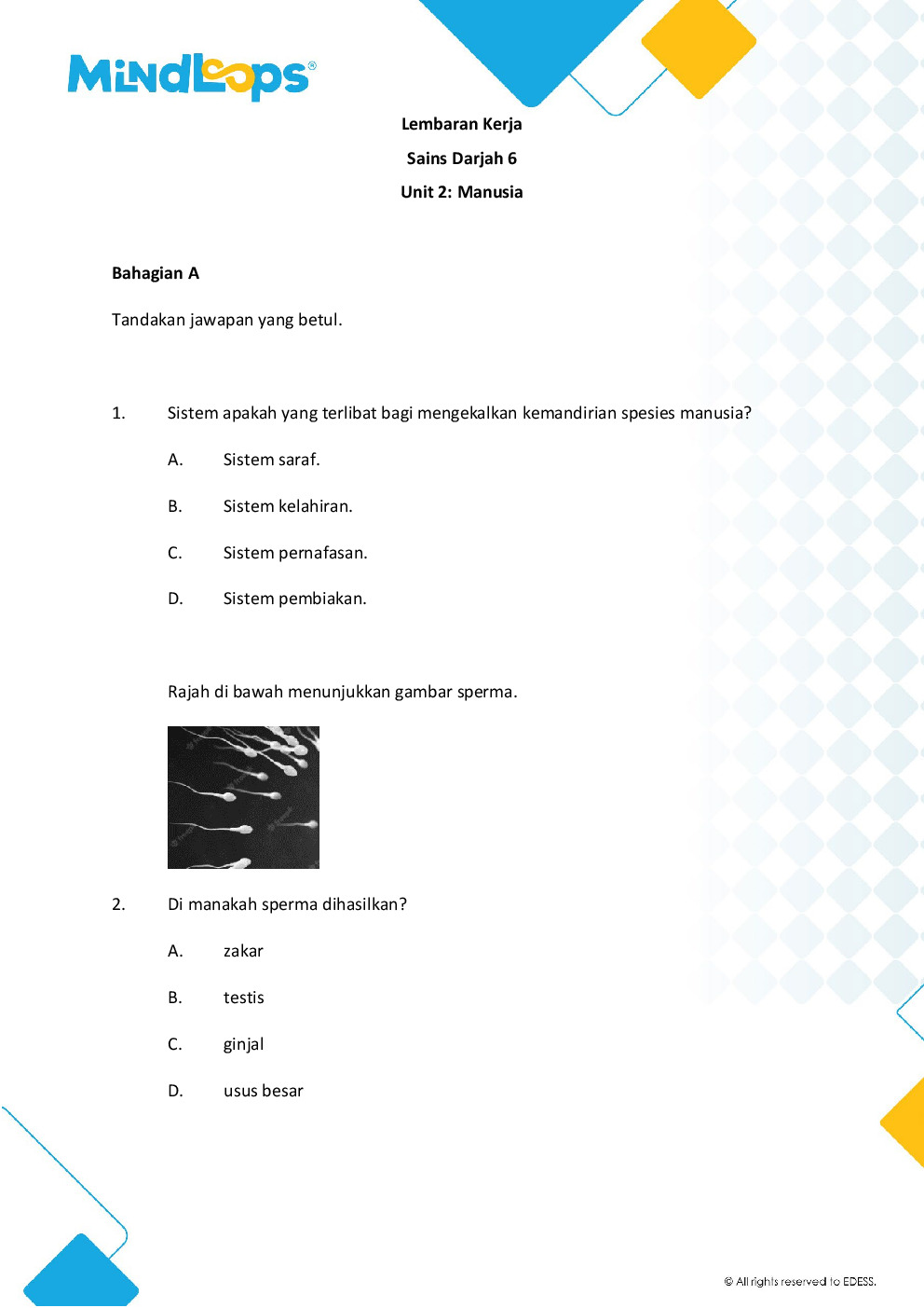 Unit 2 - Manusia